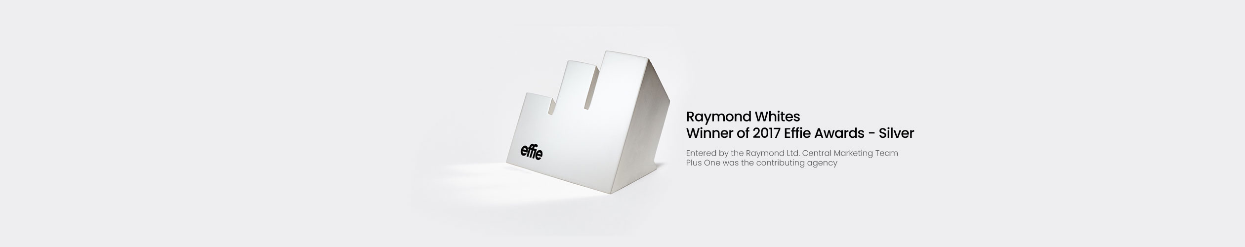 awards-for-projects-Raymond-Whites