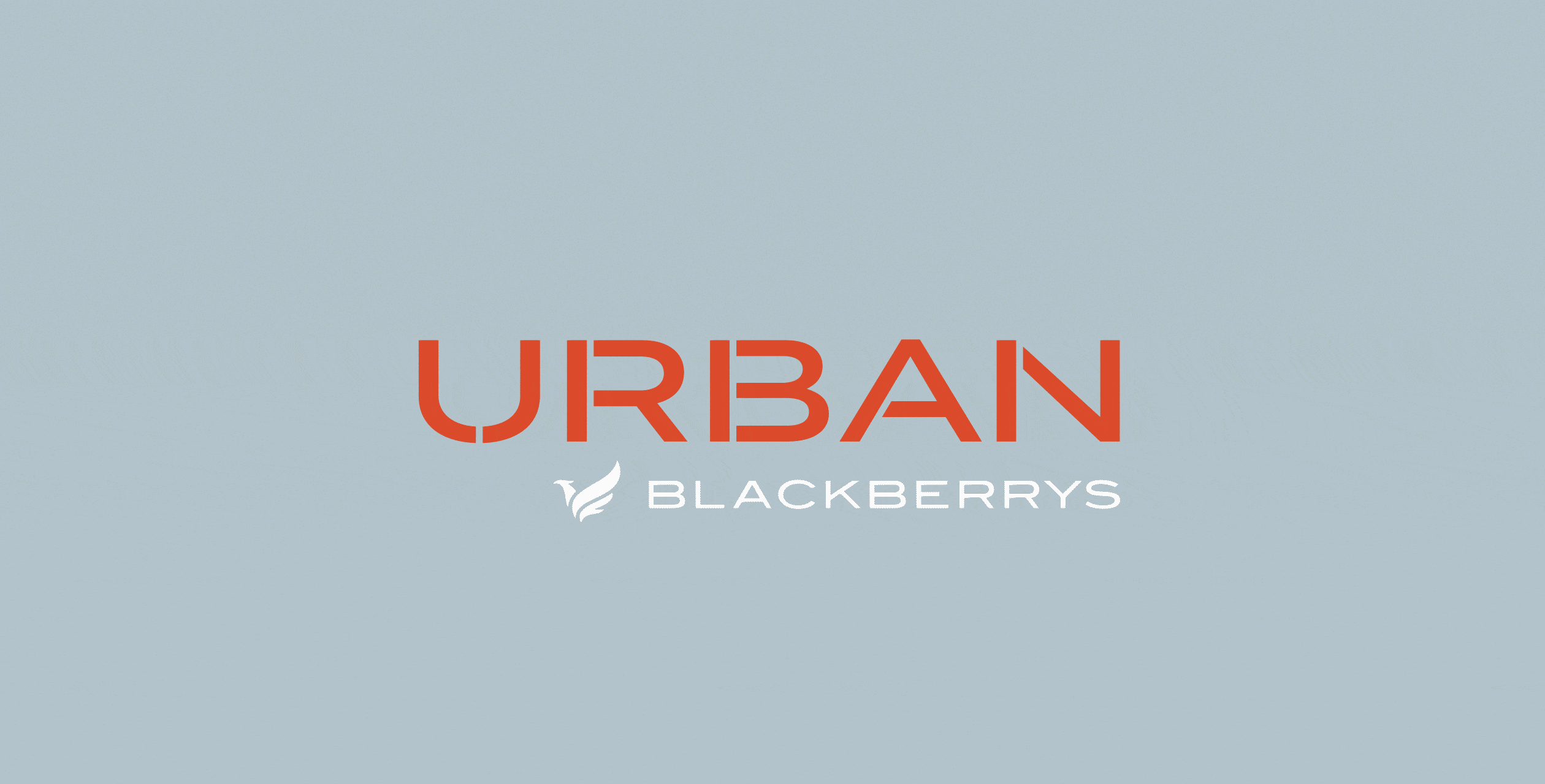 Urban Blackberrys